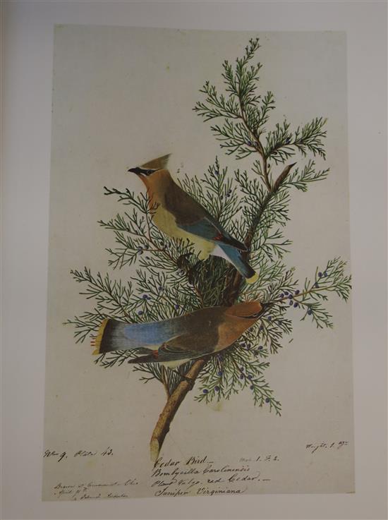 Audubon, John James - The Original Watercolour-Colour Paintings by John James Audubon, 2 vols,